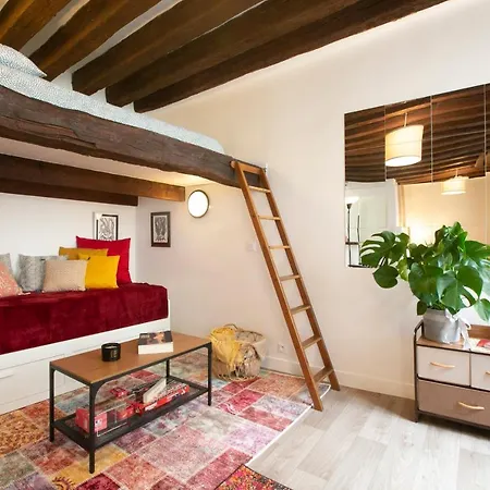 Authentic Apartment In Center Of Parisian Marais-2